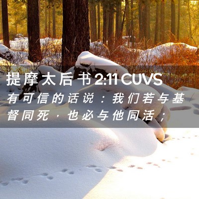 Picture 02 - 提 摩 太 后 书 2:11 CUVS - 有 可 信 的 话 说 ： 我 们 若 与 基 - Bible Verse Picture