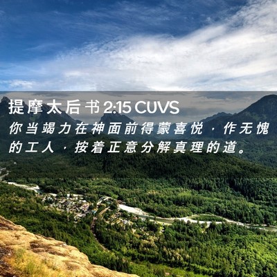 Picture 02 - 提 摩 太 后 书 2:15 CUVS - 你 当 竭 力 在 神 面 前 得 蒙 喜 悦 - Bible Verse Picture