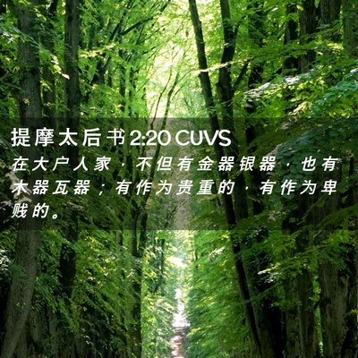 Picture 02 - 提 摩 太 后 书 2:20 CUVS - 在 大 户 人 家 ， 不 但 有 金 器 银 - Bible Verse Picture