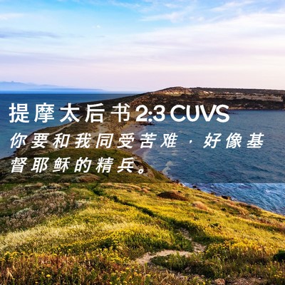Picture 02 - 提 摩 太 后 书 2:3 CUVS - 你 要 和 我 同 受 苦 难 ， 好 像 基 - Bible Verse Picture