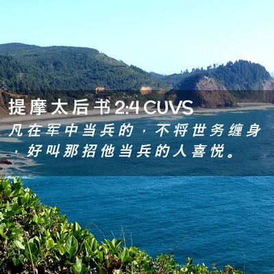 Picture 02 - 提 摩 太 后 书 2:4 CUVS - 凡 在 军 中 当 兵 的 ， 不 将 世 务 - Bible Verse Picture