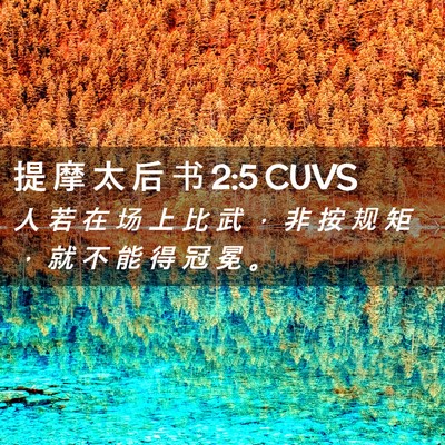 Picture 02 - 提 摩 太 后 书 2:5 CUVS - 人 若 在 场 上 比 武 ， 非 按 规 矩 - Bible Verse Picture