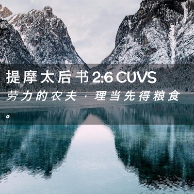 Picture 02 - 提 摩 太 后 书 2:6 CUVS - 劳 力 的 农 夫 ， 理 当 先 得 粮 食 - Bible Verse Picture