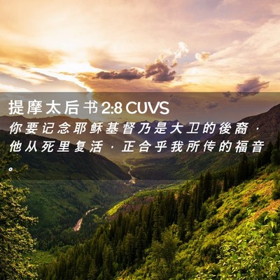 Picture 02 - 提 摩 太 后 书 2:8 CUVS - 你 要 记 念 耶 稣 基 督 乃 是 大 卫 - Bible Verse Picture