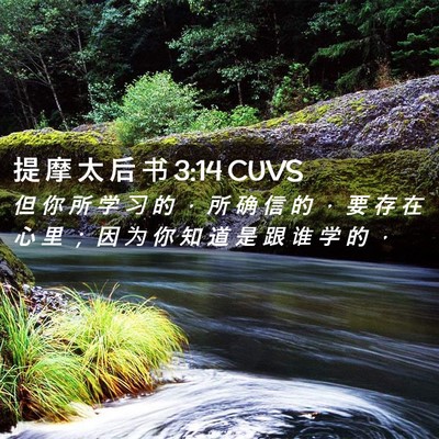 Picture 02 - 提 摩 太 后 书 3:14 CUVS - 但 你 所 学 习 的 ， 所 确 信 的 ， - Bible Verse Picture