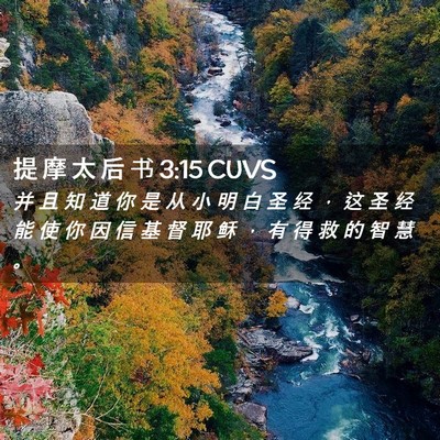 Picture 02 - 提 摩 太 后 书 3:15 CUVS - 并 且 知 道 你 是 从 小 明 白 圣 经 - Bible Verse Picture