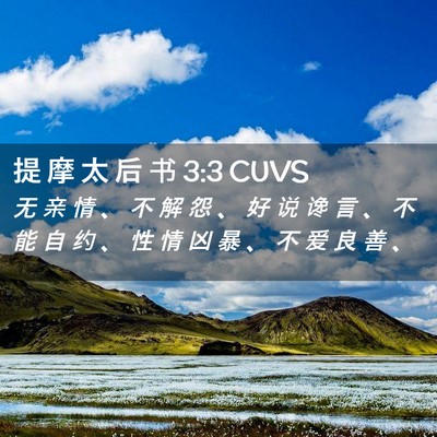 Picture 02 - 提 摩 太 后 书 3:3 CUVS - 无 亲 情 、 不 解 怨 、 好 说 谗 言 - Bible Verse Picture