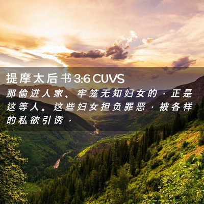 Picture 02 - 提 摩 太 后 书 3:6 CUVS - 那 偷 进 人 家 、 牢 笼 无 知 妇 女 - Bible Verse Picture