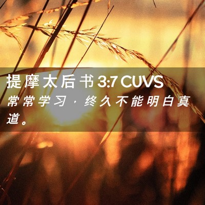 Picture 02 - 提 摩 太 后 书 3:7 CUVS - 常 常 学 习 ， 终 久 不 能 明 白 真 - Bible Verse Picture