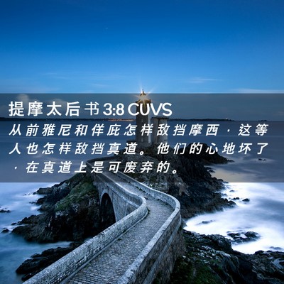 Picture 02 - 提 摩 太 后 书 3:8 CUVS - 从 前 雅 尼 和 佯 庇 怎 样 敌 挡 摩 - Bible Verse Picture