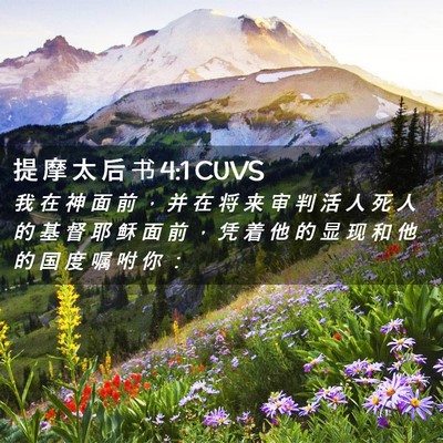 Picture 02 - 提 摩 太 后 书 4:1 CUVS - 我 在 神 面 前 ， 并 在 将 来 审 判 - Bible Verse Picture