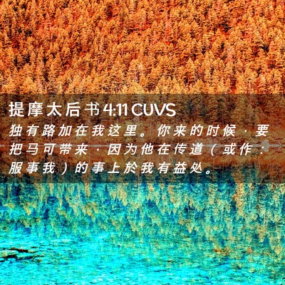 Picture 02 - 提 摩 太 后 书 4:11 CUVS - 独 有 路 加 在 我 这 里 。 你 来 的 - Bible Verse Picture