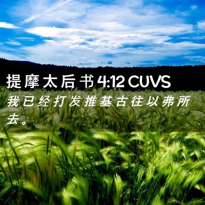 Picture 02 - 提 摩 太 后 书 4:12 CUVS - 我 已 经 打 发 推 基 古 往 以 弗 所 - Bible Verse Picture
