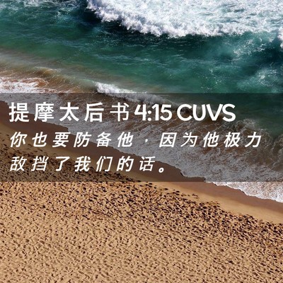 Picture 02 - 提 摩 太 后 书 4:15 CUVS - 你 也 要 防 备 他 ， 因 为 他 极 力 - Bible Verse Picture