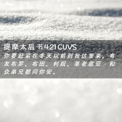 Picture 02 - 提 摩 太 后 书 4:21 CUVS - 你 要 赶 紧 在 冬 天 以 前 到 我 这 - Bible Verse Picture