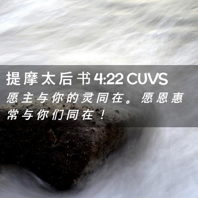 Picture 02 - 提 摩 太 后 书 4:22 CUVS - 愿 主 与 你 的 灵 同 在 。 愿 恩 惠 - Bible Verse Picture