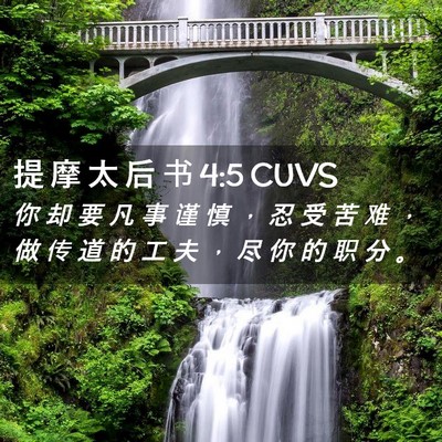 Picture 02 - 提 摩 太 后 书 4:5 CUVS - 你 却 要 凡 事 谨 慎 ， 忍 受 苦 难 - Bible Verse Picture
