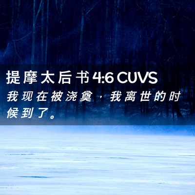 Picture 02 - 提 摩 太 后 书 4:6 CUVS - 我 现 在 被 浇 奠 ， 我 离 世 的 时 - Bible Verse Picture