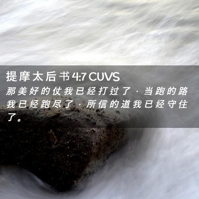 Picture 02 - 提 摩 太 后 书 4:7 CUVS - 那 美 好 的 仗 我 已 经 打 过 了 ， - Bible Verse Picture