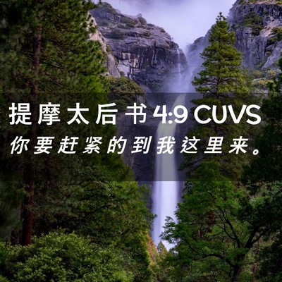 Picture 02 - 提 摩 太 后 书 4:9 CUVS - 你 要 赶 紧 的 到 我 这 里 来 - Bible Verse Picture
