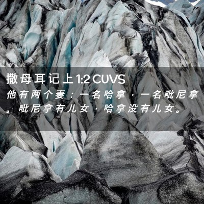 Picture 02 - 撒 母 耳 记 上 1:2 CUVS - 他 有 两 个 妻 ： 一 名 哈 拿 ， 一 - Bible Verse Picture
