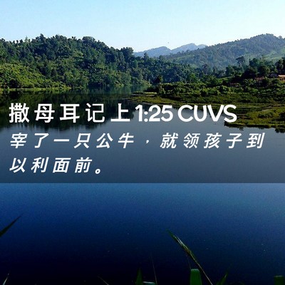 Picture 02 - 撒 母 耳 记 上 1:25 CUVS - 宰 了 一 只 公 牛 ， 就 领 孩 子 到 - Bible Verse Picture