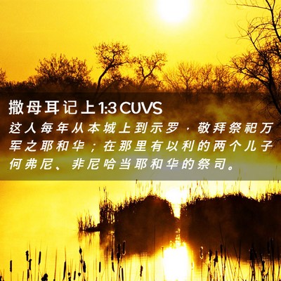 Picture 02 - 撒 母 耳 记 上 1:3 CUVS - 这 人 每 年 从 本 城 上 到 示 罗 ， - Bible Verse Picture