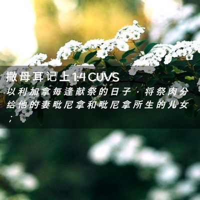 Picture 02 - 撒 母 耳 记 上 1:4 CUVS - 以 利 加 拿 每 逢 献 祭 的 日 子 ， - Bible Verse Picture