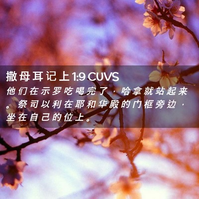 Picture 02 - 撒 母 耳 记 上 1:9 CUVS - 他 们 在 示 罗 吃 喝 完 了 ， 哈 拿 - Bible Verse Picture