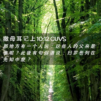 Picture 02 - 撒 母 耳 记 上 10:12 CUVS - 那 地 方 有 一 个 人 说 ： 这 些 人 - Bible Verse Picture
