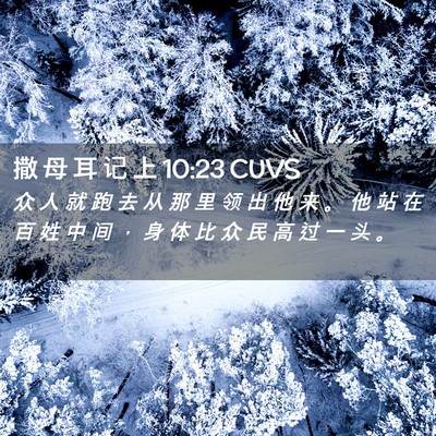 Picture 02 - 撒 母 耳 记 上 10:23 CUVS - 众 人 就 跑 去 从 那 里 领 出 他 来 - Bible Verse Picture