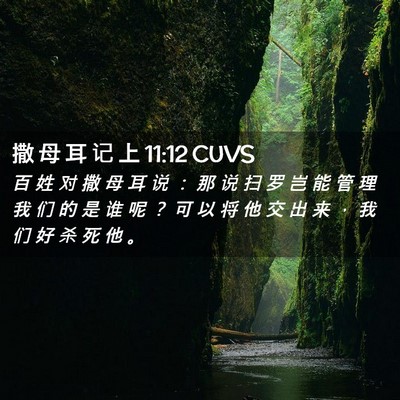 Picture 02 - 撒 母 耳 记 上 11:12 CUVS - 百 姓 对 撒 母 耳 说 ： 那 说 扫 罗 - Bible Verse Picture