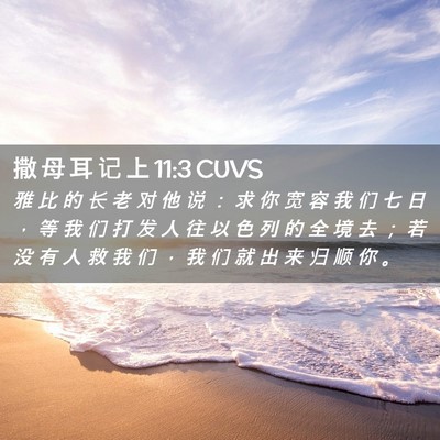 Picture 02 - 撒 母 耳 记 上 11:3 CUVS - 雅 比 的 长 老 对 他 说 ： 求 你 宽 - Bible Verse Picture