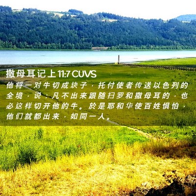 Picture 02 - 撒 母 耳 记 上 11:7 CUVS - 他 将 一 对 牛 切 成 块 子 ， 托 付 - Bible Verse Picture
