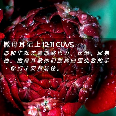 Picture 02 - 撒 母 耳 记 上 12:11 CUVS - 耶 和 华 就 差 遣 耶 路 巴 力 、 比 - Bible Verse Picture