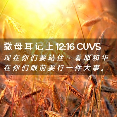 Picture 02 - 撒 母 耳 记 上 12:16 CUVS - 现 在 你 们 要 站 住 ， 看 耶 和 华 - Bible Verse Picture