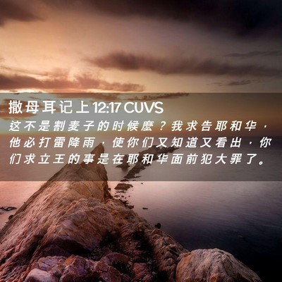 Picture 02 - 撒 母 耳 记 上 12:17 CUVS - 这 不 是 割 麦 子 的 时 候 麽 ？ 我 - Bible Verse Picture
