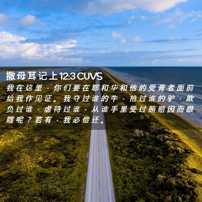 Picture 02 - 撒 母 耳 记 上 12:3 CUVS - 我 在 这 里 ， 你 们 要 在 耶 和 华 - Bible Verse Picture