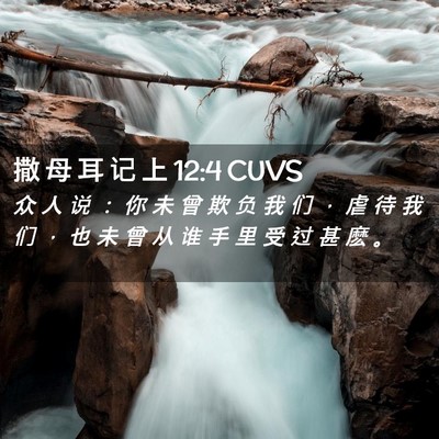 Picture 02 - 撒 母 耳 记 上 12:4 CUVS - 众 人 说 ： 你 未 曾 欺 负 我 们 ， - Bible Verse Picture