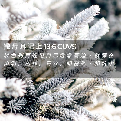 Picture 02 - 撒 母 耳 记 上 13:6 CUVS - 以 色 列 百 姓 见 自 己 危 急 窘 迫 - Bible Verse Picture
