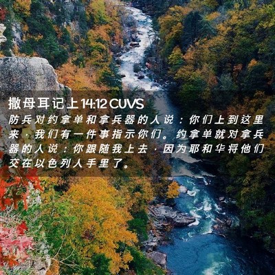 Picture 02 - 撒 母 耳 记 上 14:12 CUVS - 防 兵 对 约 拿 单 和 拿 兵 器 的 人 - Bible Verse Picture