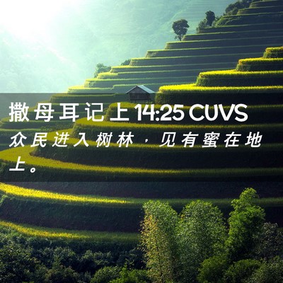 Picture 02 - 撒 母 耳 记 上 14:25 CUVS - 众 民 进 入 树 林 ， 见 有 蜜 在 地 - Bible Verse Picture