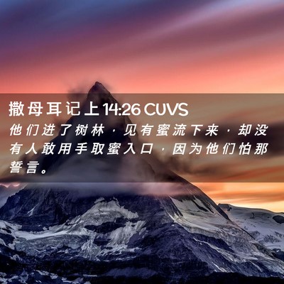Picture 02 - 撒 母 耳 记 上 14:26 CUVS - 他 们 进 了 树 林 ， 见 有 蜜 流 下 - Bible Verse Picture