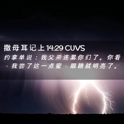 Picture 02 - 撒 母 耳 记 上 14:29 CUVS - 约 拿 单 说 ： 我 父 亲 连 累 你 们 - Bible Verse Picture
