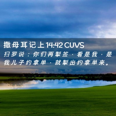 Picture 02 - 撒 母 耳 记 上 14:42 CUVS - 扫 罗 说 ： 你 们 再 掣 签 ， 看 是 - Bible Verse Picture