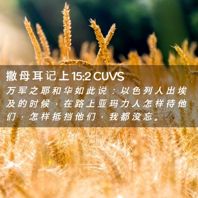 Picture 02 - 撒 母 耳 记 上 15:2 CUVS - 万 军 之 耶 和 华 如 此 说 ： 以 色 - Bible Verse Picture