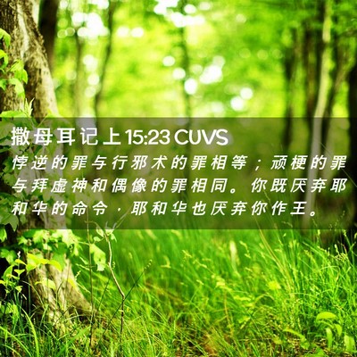 Picture 02 - 撒 母 耳 记 上 15:23 CUVS - 悖 逆 的 罪 与 行 邪 术 的 罪 相 等 - Bible Verse Picture