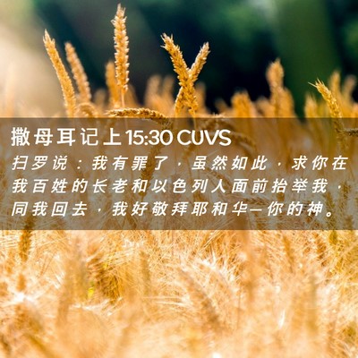 Picture 02 - 撒 母 耳 记 上 15:30 CUVS - 扫 罗 说 ： 我 有 罪 了 ， 虽 然 如 - Bible Verse Picture