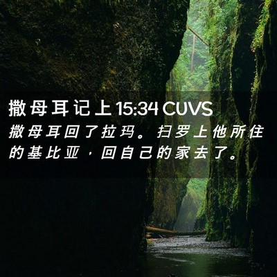 Picture 02 - 撒 母 耳 记 上 15:34 CUVS - 撒 母 耳 回 了 拉 玛 。 扫 罗 上 他 - Bible Verse Picture