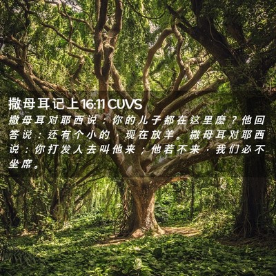 Picture 02 - 撒 母 耳 记 上 16:11 CUVS - 撒 母 耳 对 耶 西 说 ： 你 的 儿 子 - Bible Verse Picture